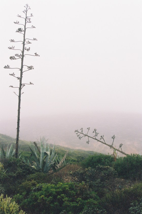 sagres_1 portugal 2006