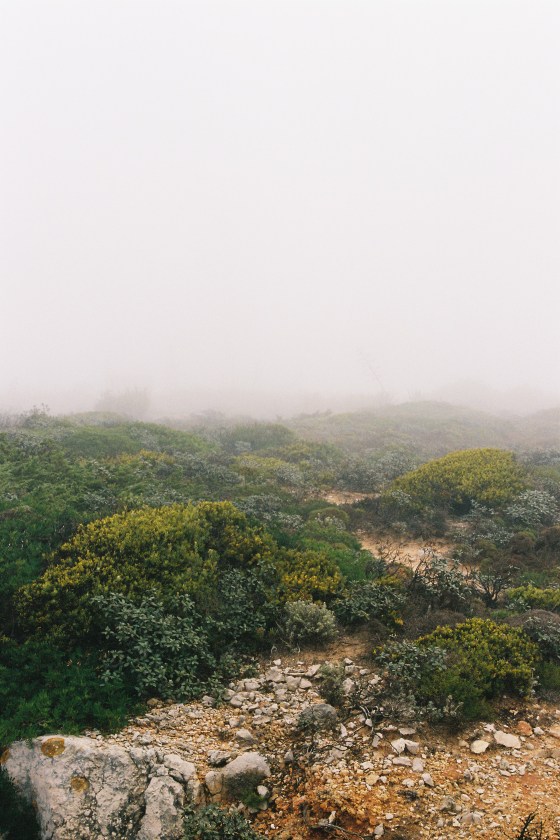sagres_1 portugal 2006