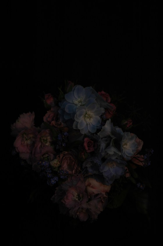 bouquet_13 powderblue/rose
