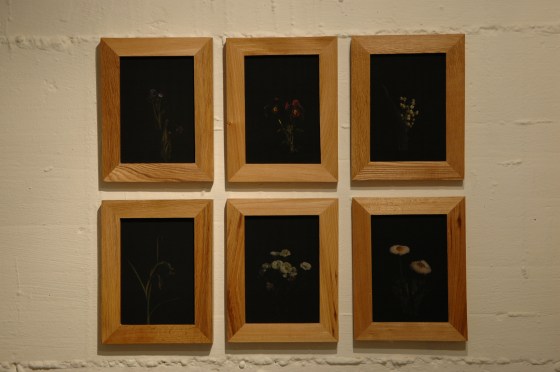 Vanities or The Impossibility of Death  at gabp_cologne installation view   set 6er