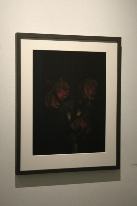 Vanities or The Impossibility of Death at gabp_cologne installation view aril iris_13