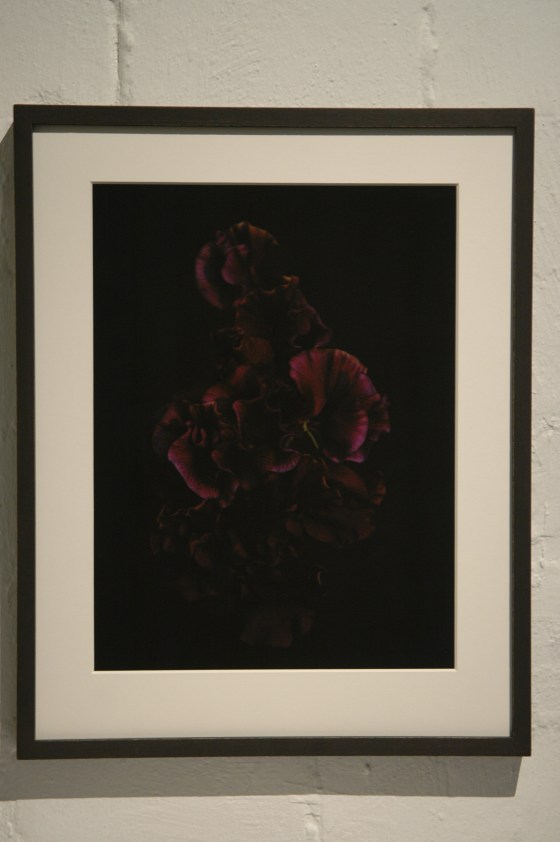 Vanities or The Impossibility of Death  at gabp_cologne installation view  sweetpea_13 purple