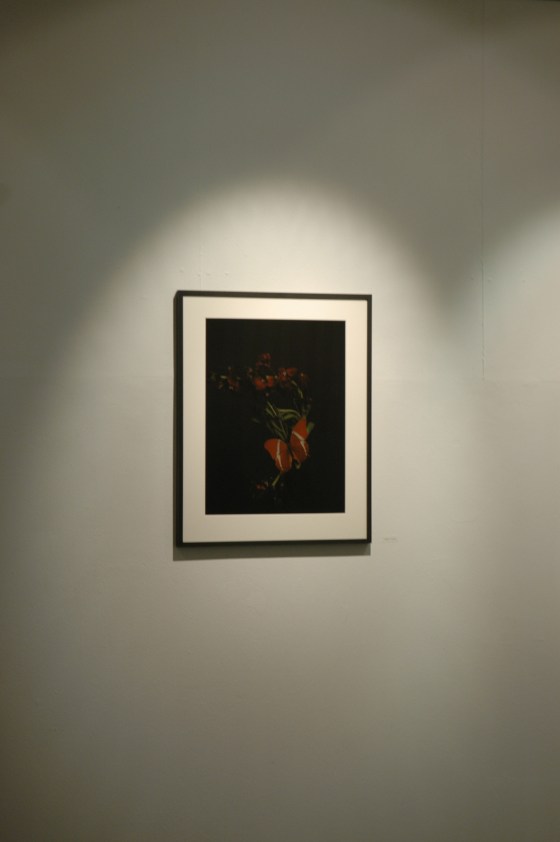 Vanities or The Impossibility of Death at gabp_cologne installation view wallflower_13 maroon